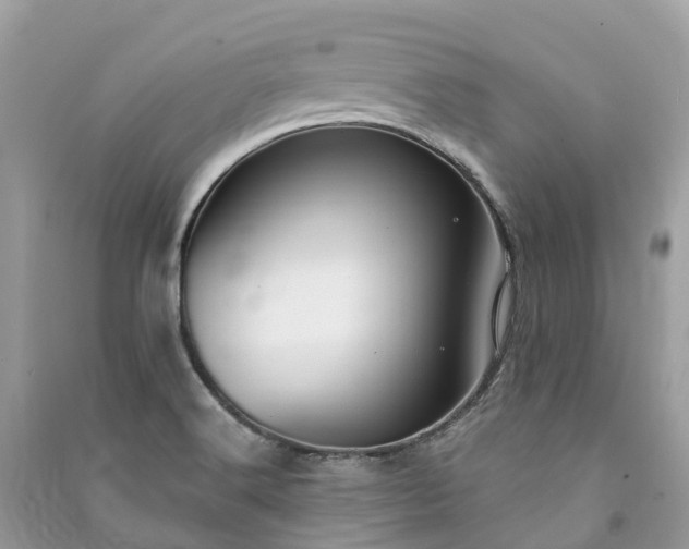 X0000091001516200708091529