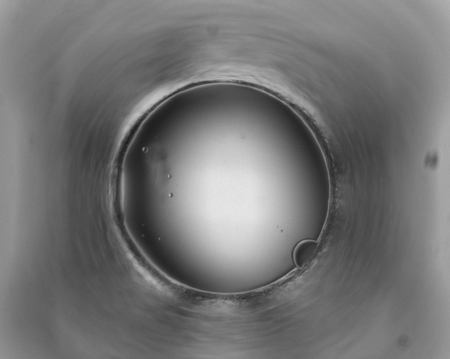 X0000091001517200708091529