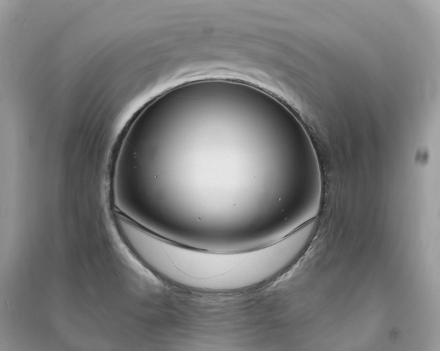 X0000091001518200708091529