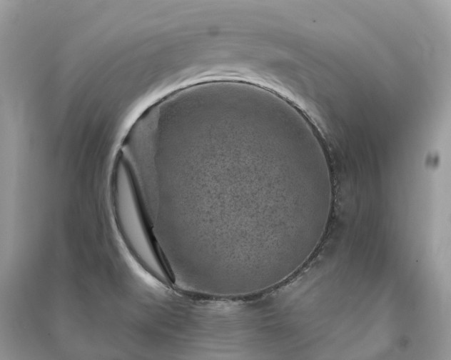 X0000091001519200708091529