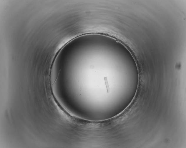 X0000091001521200708091529