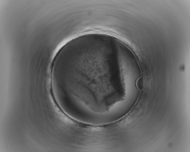 X0000091001522200708091529