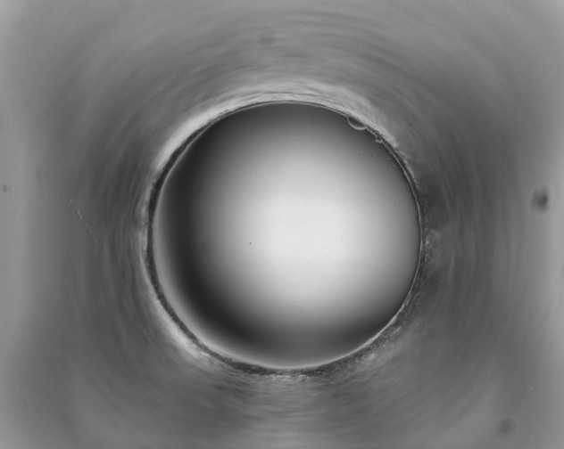 X0000091001523200708091529