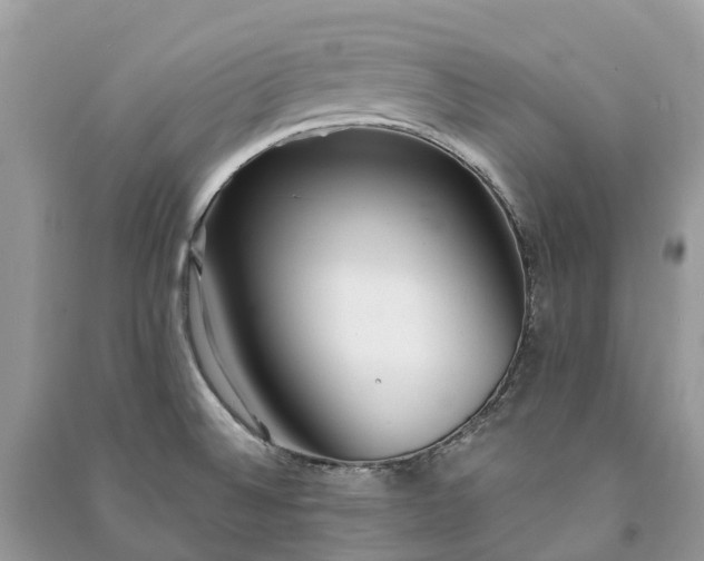 X0000091001524200708091529