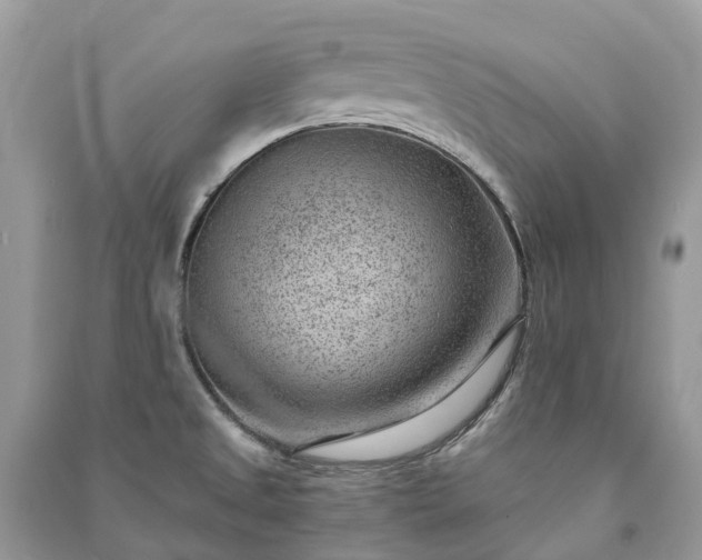 X0000091001525200708091529