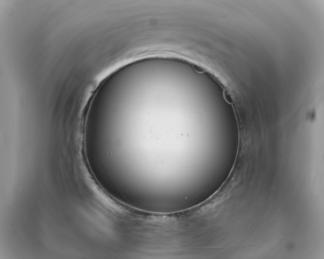 X0000091001526200708091529