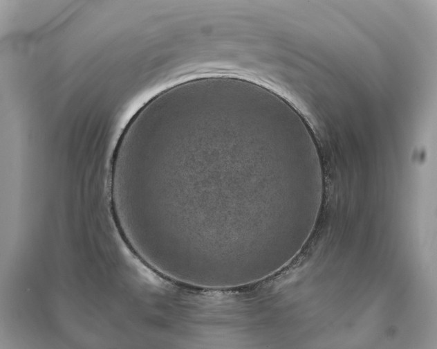 X0000091001527200708091529