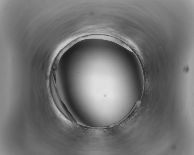 X0000091001528200708091529