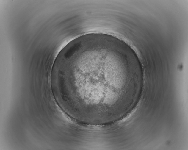 X0000091001529200708091529