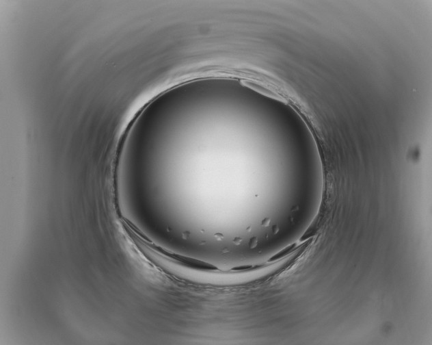 X0000091001530200708091529