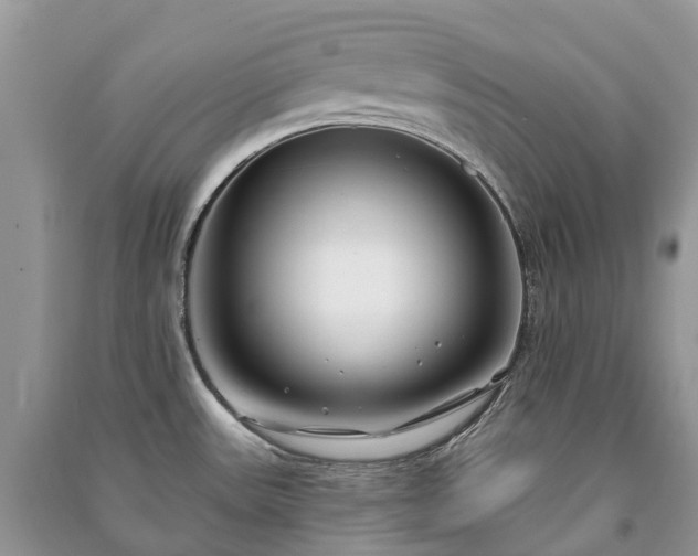 X0000091001531200708091529