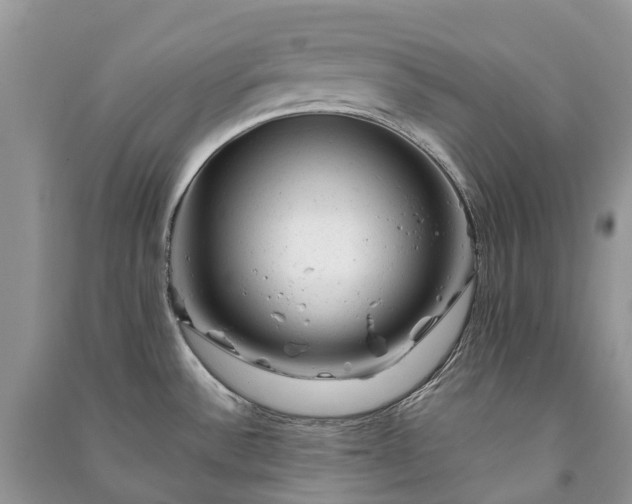 X0000091001532200708091529