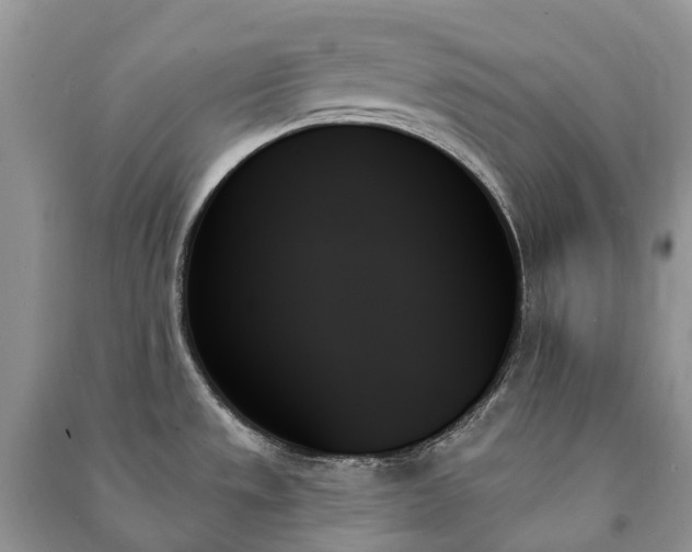 X0000091001533200708091529