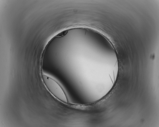 X0000091001534200708091529