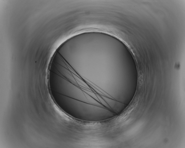 X0000091001535200708091529