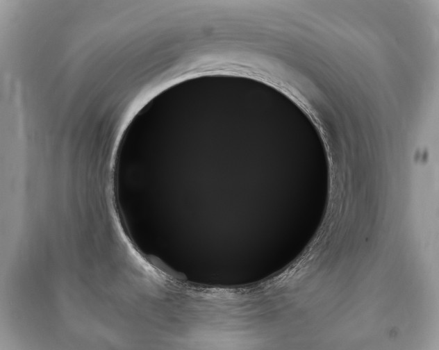 X0000091001536200708091529