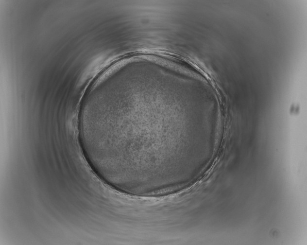 X0000091000002200708161947