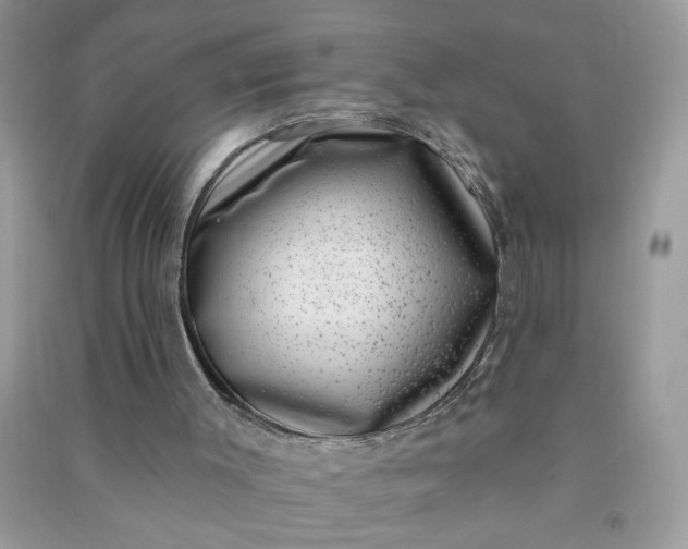 X0000091000003200708161947