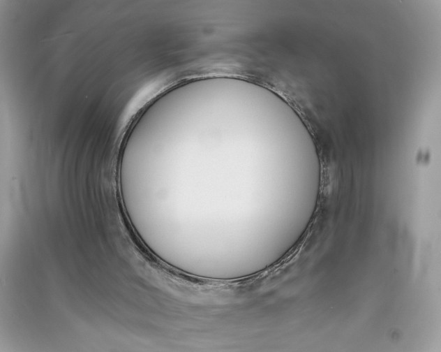 X0000091000004200708161947