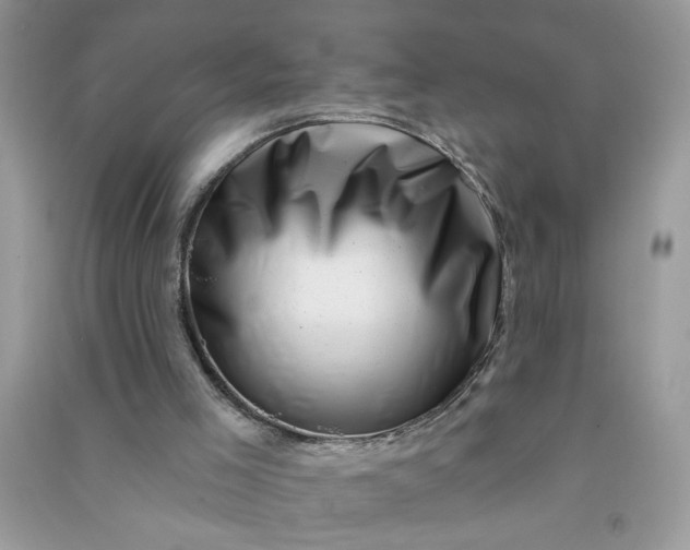 X0000091000005200708161947
