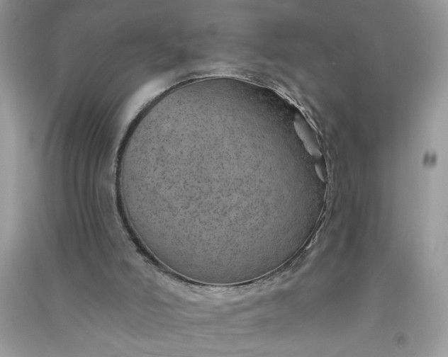X0000091000006200708161947