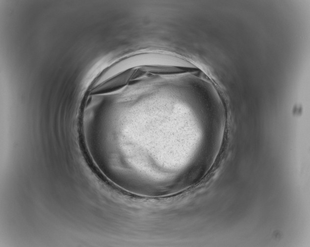X0000091000007200708161947