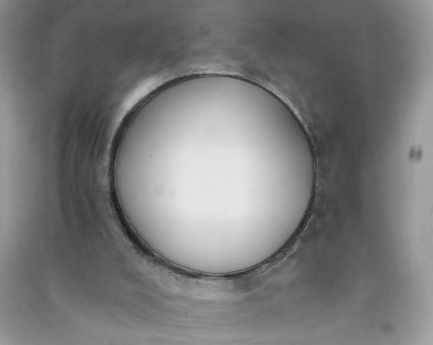 X0000091000008200708161947