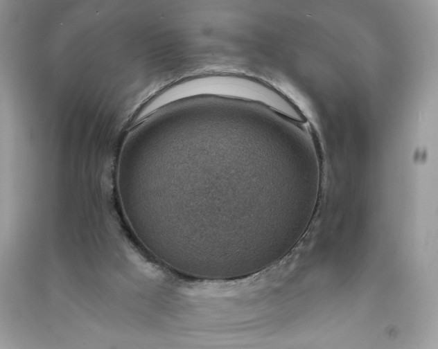 X0000091000009200708161947