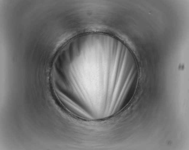 X0000091000010200708161947