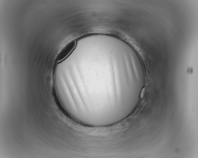X0000091000011200708161947