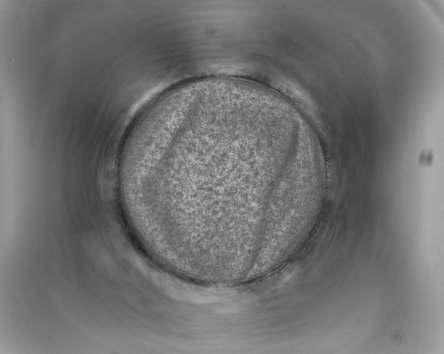 X0000091000012200708161947