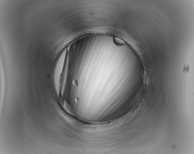 X0000091000013200708161947