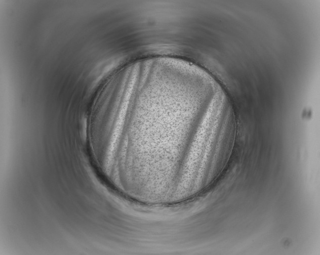 X0000091000014200708161947