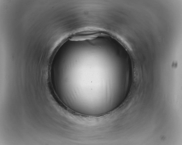 X0000091000015200708161947