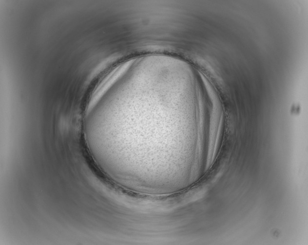 X0000091000016200708161947