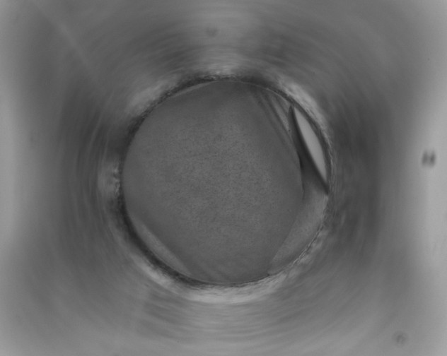 X0000091000017200708161947