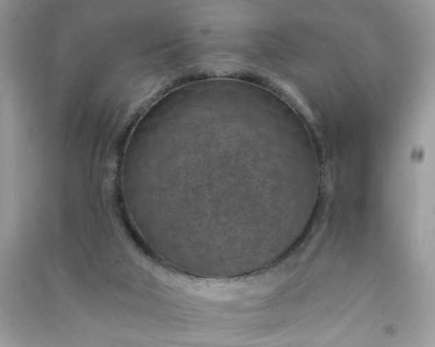 X0000091000018200708161947