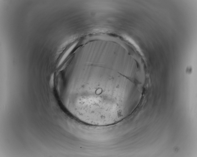 X0000091000019200708161947
