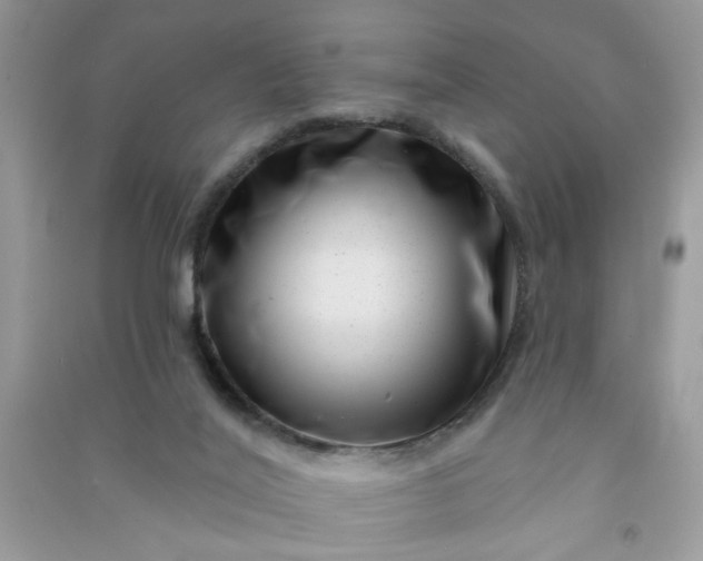 X0000091000020200708161947