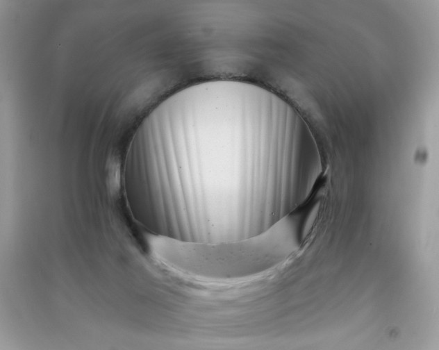 X0000091000021200708161947