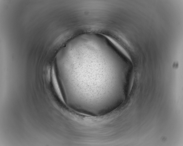 X0000091000022200708161947