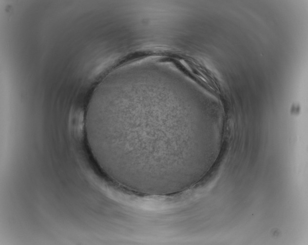 X0000091000024200708161947