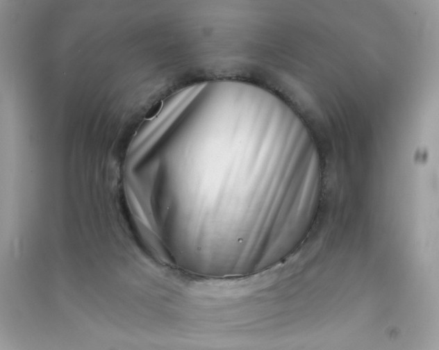 X0000091000025200708161947