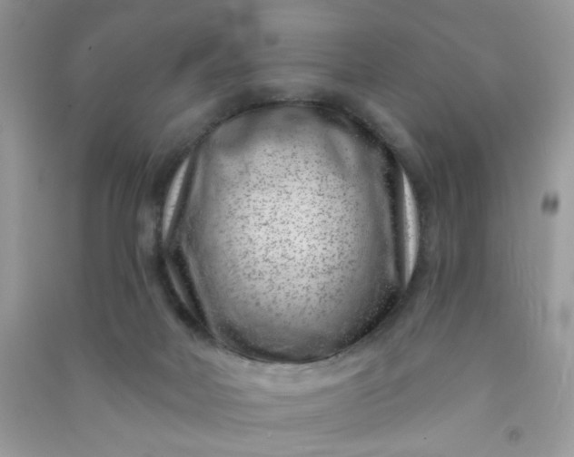 X0000091000026200708161947