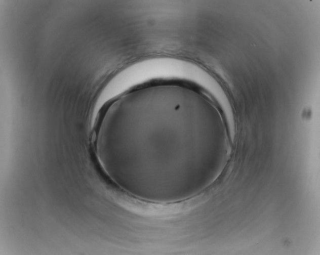 X0000091000027200708161947