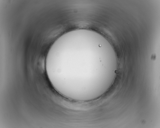 X0000091000028200708161947