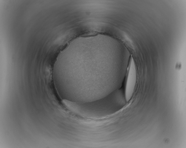 X0000091000029200708161947