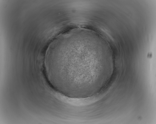 X0000091000030200708161947