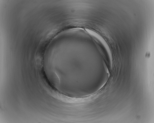 X0000091000031200708161947