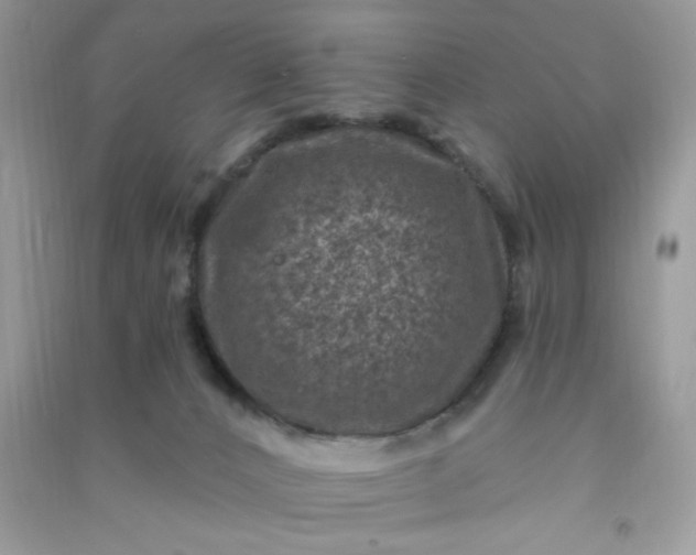 X0000091000032200708161947